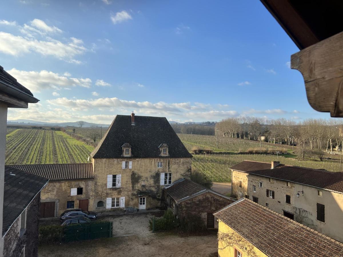 Chateau De La Barge Chaintre Экстерьер фото